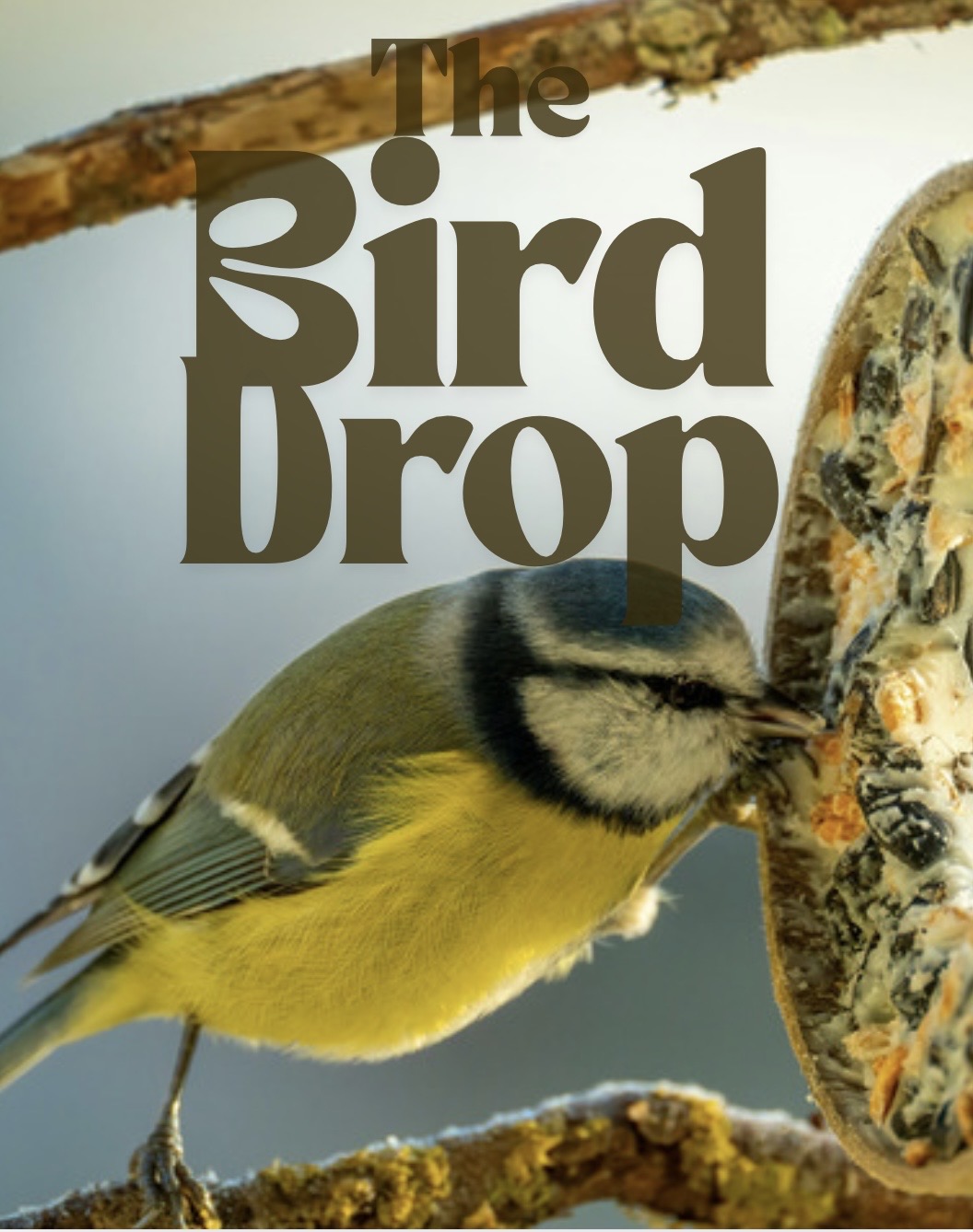 The Bird Drop